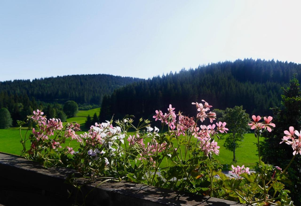 Landgasthof Jostalstuble Hotel Titisee-Neustadt Esterno foto